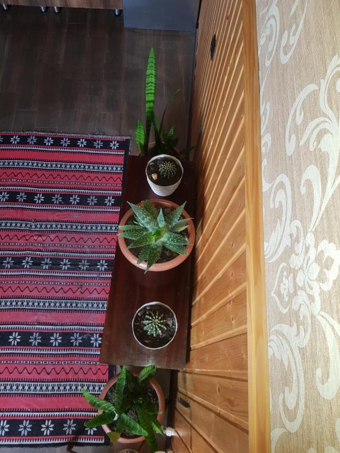 Cozy House Kazbegi Hotel Екстериор снимка