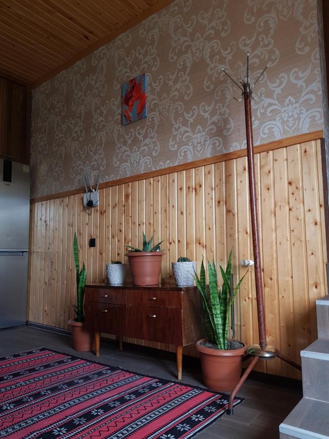Cozy House Kazbegi Hotel Екстериор снимка