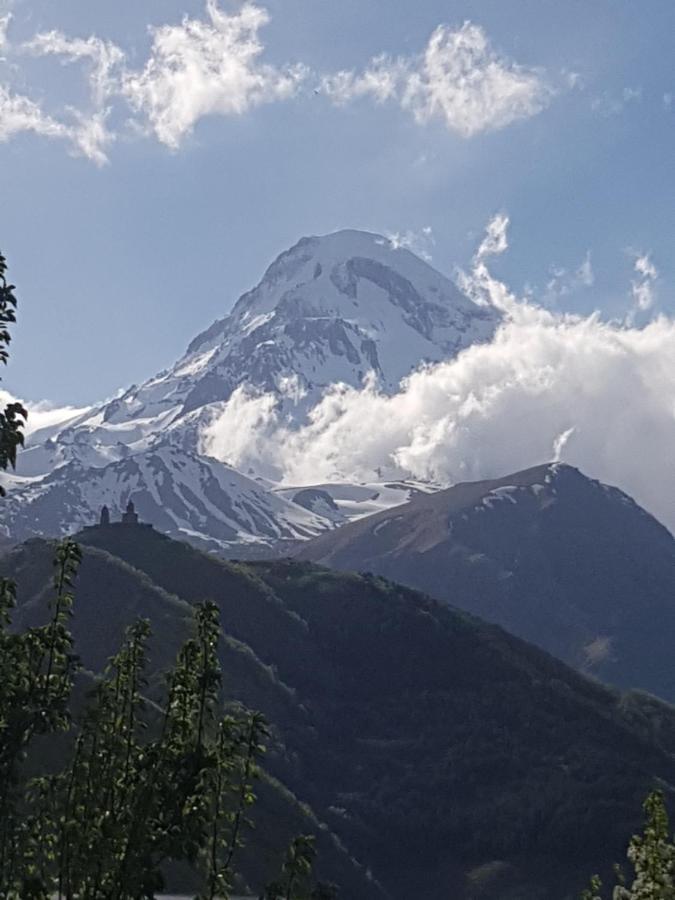 Cozy House Kazbegi Hotel Екстериор снимка